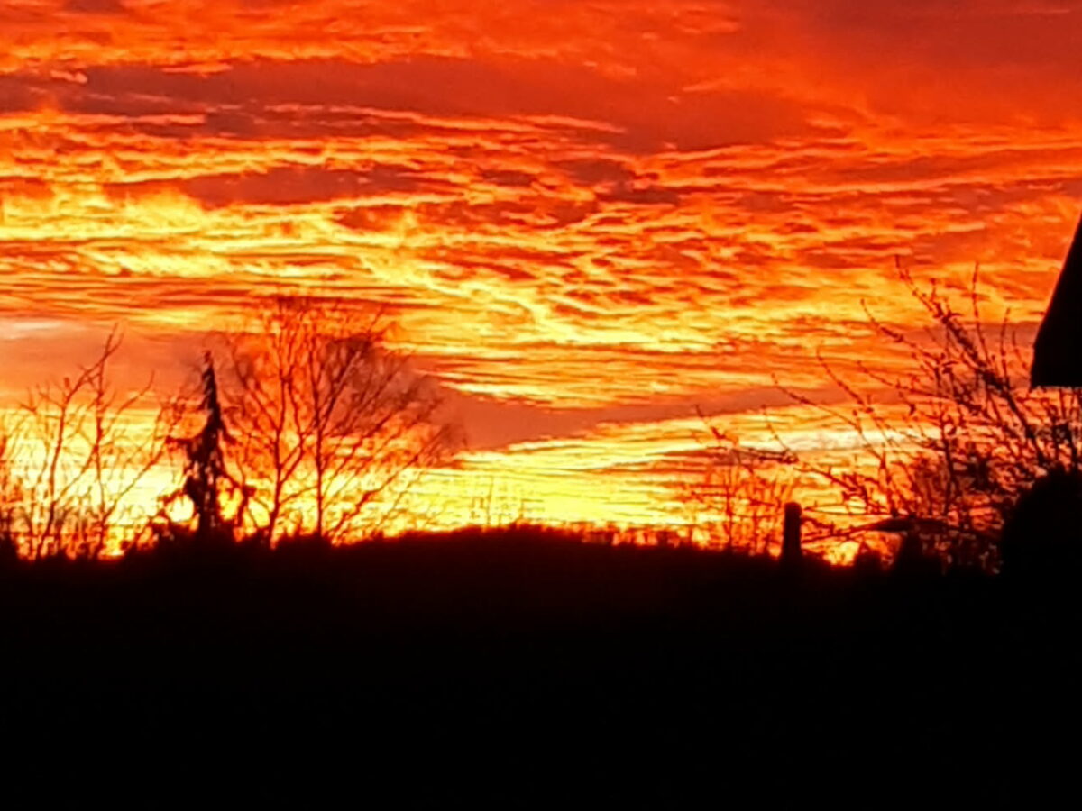 Françoise Villemard